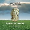 Il pascolo dei cammelli