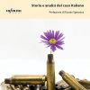 Pacifismo