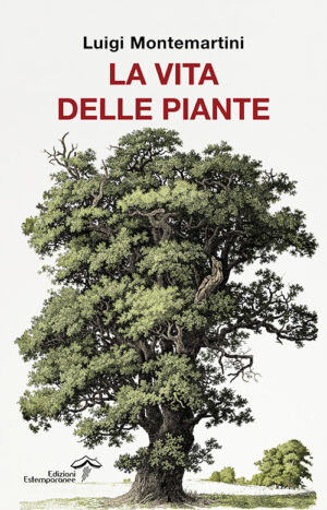 La vita delle piante