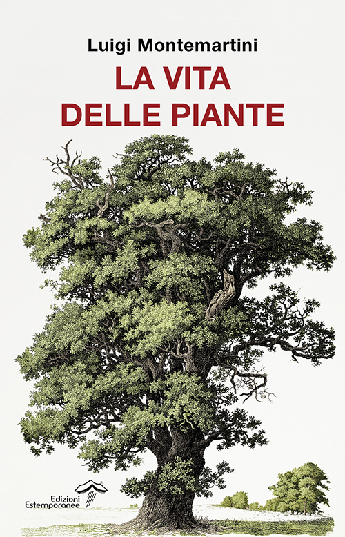 La vita delle piante